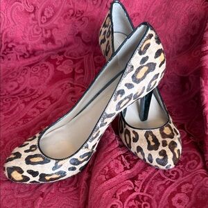 Arturo Chiang Leopard Print Pump in Tan and Black
